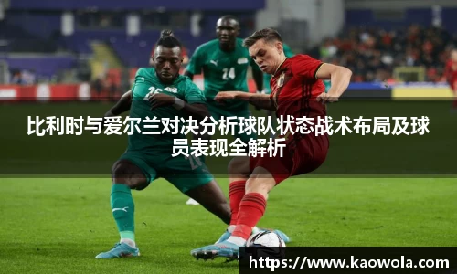 比利时与爱尔兰对决分析球队状态战术布局及球员表现全解析
